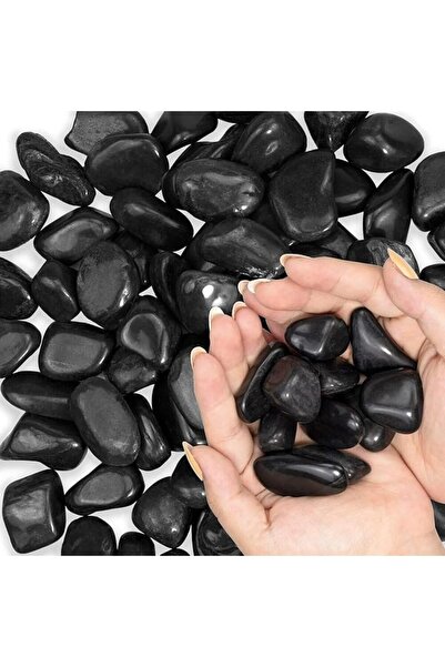 Goishtrie صخور زخرفية سوداء ناعمة ومصقولة لنباتات أحواض السمك والحدائق، وزن 1 كجم - كبير