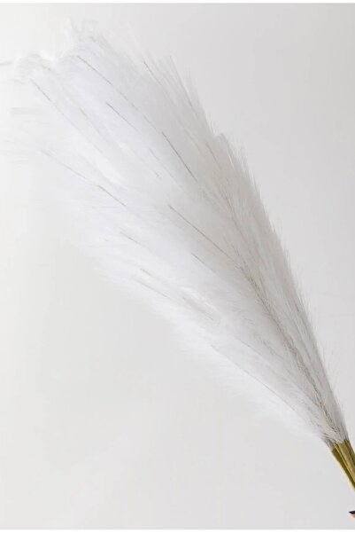 YASİMA 1 Adet 70 Cm Beyaz Pampas Çiçeği Dekoratif Salon Çiçeği