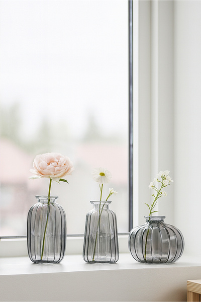 HOMİNG Glass Gray Vase Set 242227