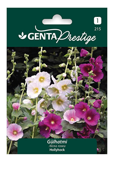 Genta Gülhatmi – Hollyhock Çiçek Tohumu