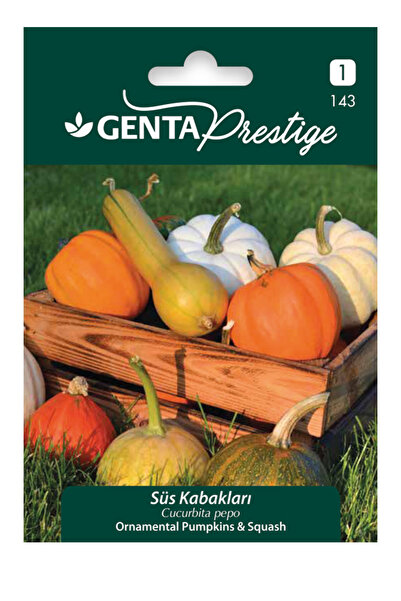 Genta Süs Kabağı Bitkisi Tohumu