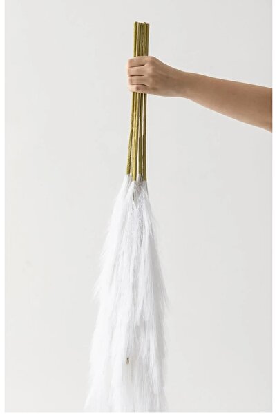 YASİMA 2’li Beyaz Tüylü Pampas 70 Cm Ev Dekor Vazo Süsü