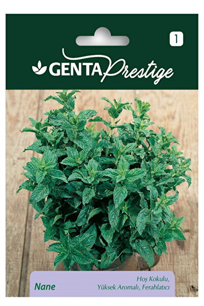 Genta Kokulu ve Yüksek Aromalı Nane Tohumu