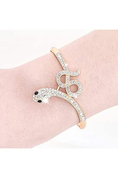 Ayzen Snake Bracelet with Sparkling Stones
