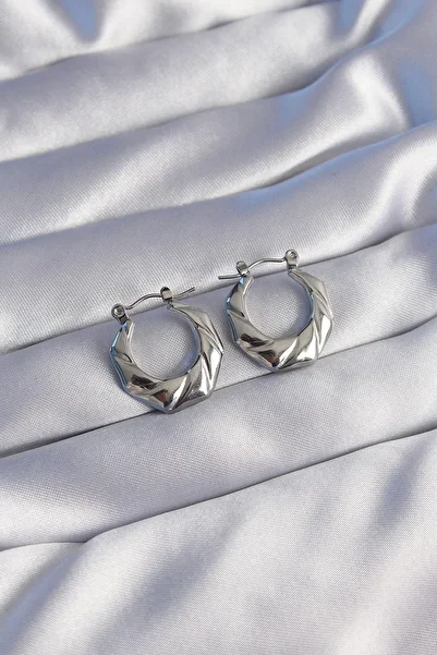 Celira 316L Steel Silver Color Curved Appearance Geometric Model Earrings Ns3703