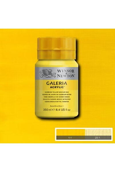 Winsor Newton Galeria Acrylic Multi-Color Paint Set for Creative Artwork