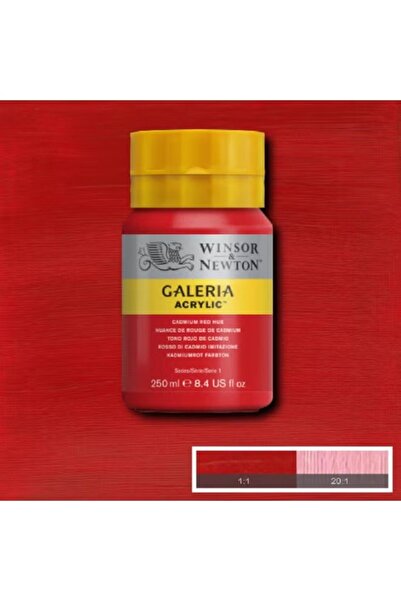 Winsor Newton Galeria Acrylic Multi-Color Paint Set for Creative Artwork
