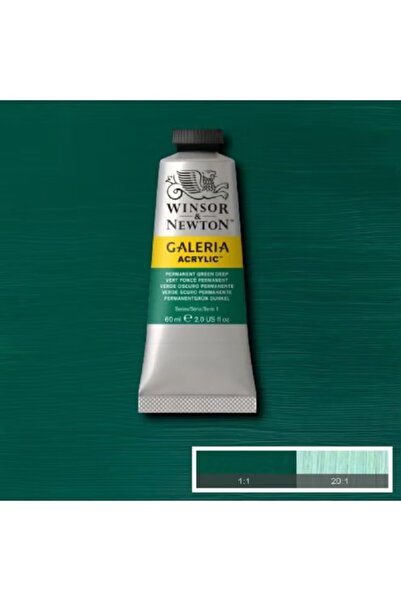 Winsor Newton Galeria Acrylic Multi-Color Paint Set for Art Projects