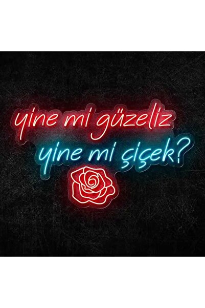 NEON LED KAYSERİ YİNE Mİ GÜZELİZ YİNE Mİ CİCEK NEON LED