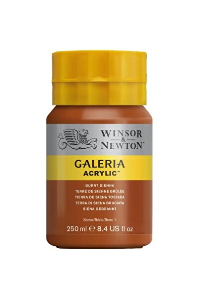 Winsor Newton Galeria Acrylic Multi-Color Paint Set for Creative Artwork