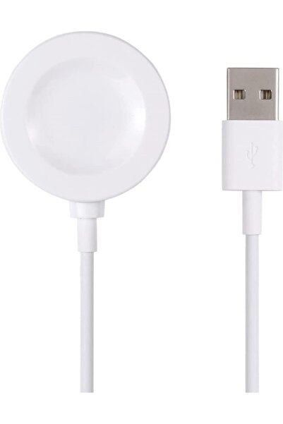 LENSUN Apple Watch Ultra/Ultra 2 49mm için Type-C Manyetik Şarj Cihazı 1m