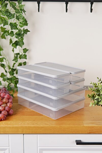 EVLE Deep Freezer Storage Container Set of 6 (2 X 3 Lt + 4 X 1 Lt), Gray