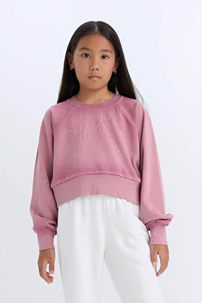 DeFacto Relax Fit Crew Neck Crop Basic Plain Sweatshirt for Girls D6994A824Wn