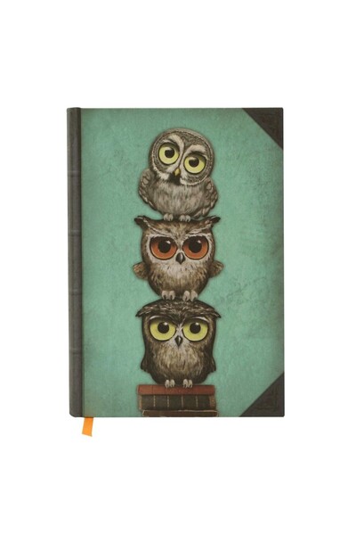 Santoro Agenda Grumpy Owl