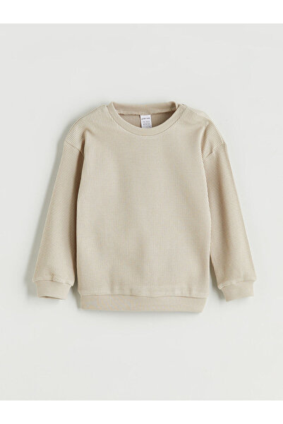 LC Waikiki Bisiklet Yaka Erkek Bebek Sweatshirt 3'lü