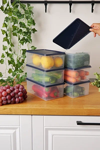 EVLE Deep Freezer Storage Container Set of 6 (6 X 2.1 Lt), Blue