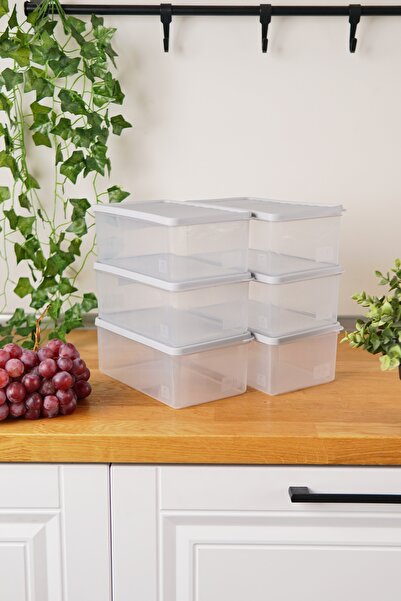 EVLE Deep Freezer Storage Container Set of 6 (6 X 2.1 Lt), Gray