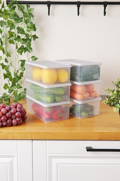 EVLE Deep Freezer Storage Container Set of 6 (6 X 2.1 Lt), Gray