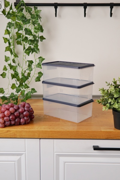 EVLE Deep Freezer Storage Container Set of 3 (3 X 2.1 Lt), Blue