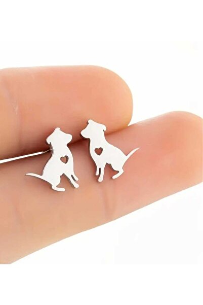 sarıyer silver Dog Figure Heart Embroidered Nail Style Suitable for Daily Wear Steel Earrings