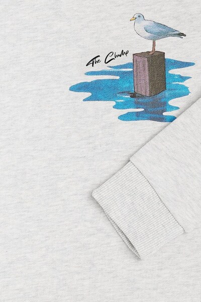 The Champ Clothing Children's Oversize Sweatshirt with Seagull and Marina Print in Gray – Crew Neck, 3 Thread Fleece