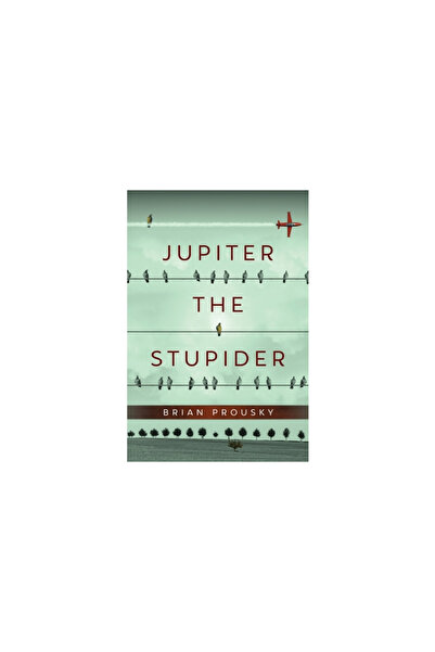 Next Chapter Jupiter the Stupider