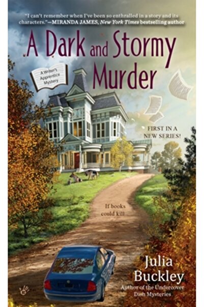 Berkley Pub Group A Dark and Stormy Murder
