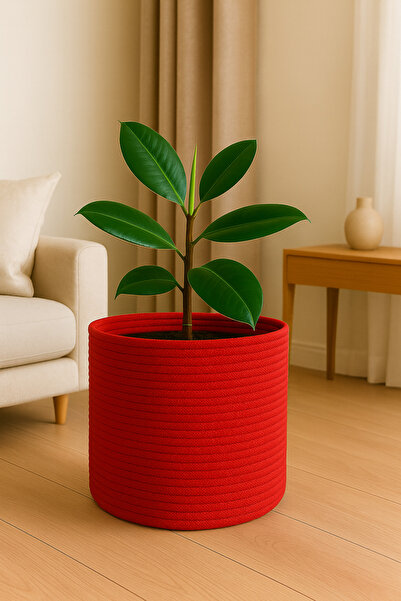 Efuliz Home Jute-Wicker Multi-Purpose-Decorative-Organizer Flower Pot Basket, Garden Organizer Basket. (Width:25-Length:20 cm)