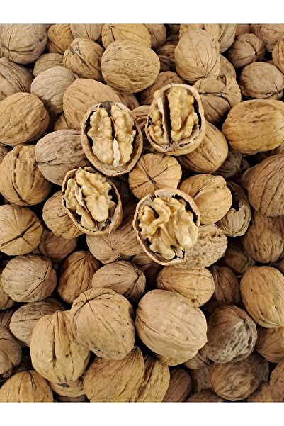 bagisan İnce kabuklu şili ceviz 500 gr