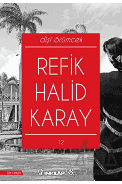 İnkılap Kitabevi Dişi Örümcek