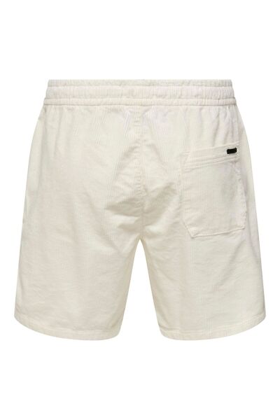 Only & Sons Shorts ONSTEL Normal geschnitten Shorts