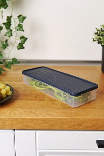 EVLE Deep Freezer Storage Container 1 Lt, Blue