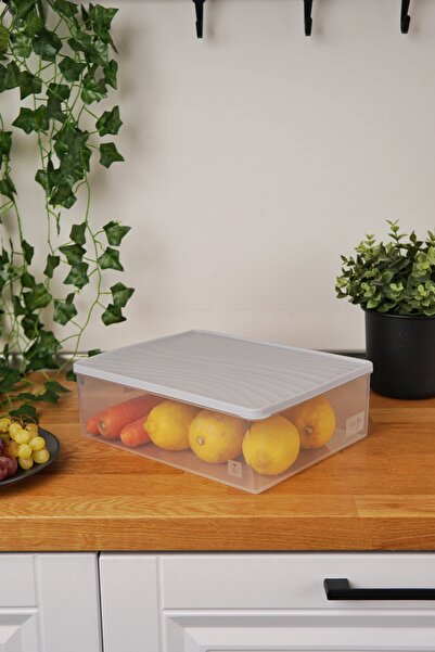 EVLE Deep Freezer Storage Container 5 L, Gray
