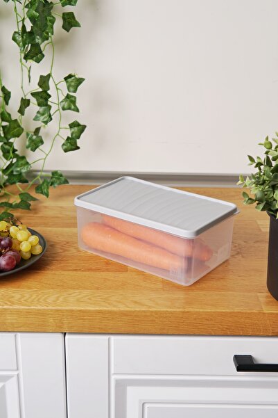 EVLE Deep Freezer Storage Container 2.1 L, Gray