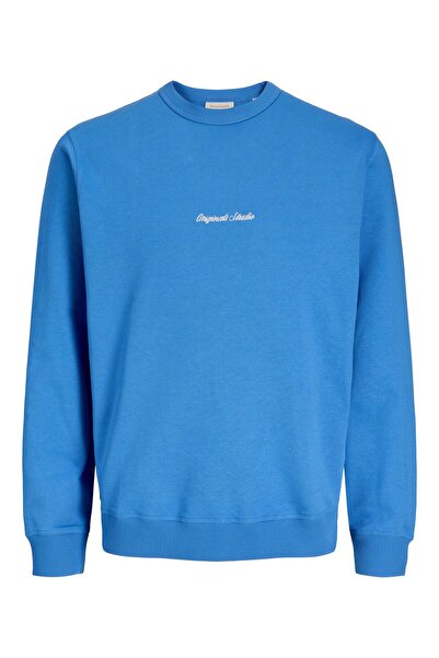 Jack & Jones Sweatshirt Sweatshirt