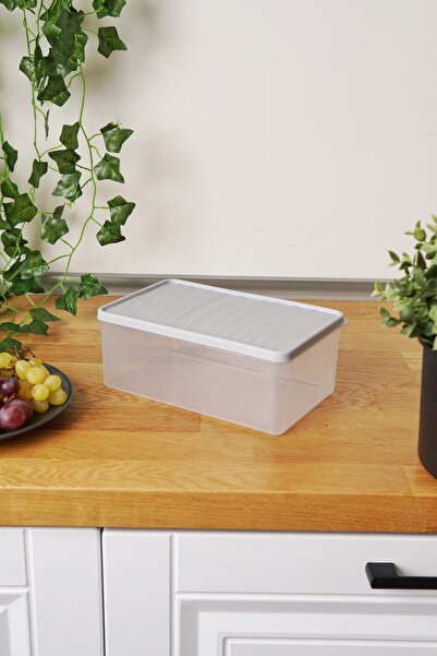 EVLE Deep Freezer Storage Container 2.1 L, Gray