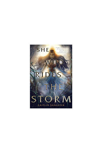 Margaret K Mcelderry Books She Who Rides the Storm