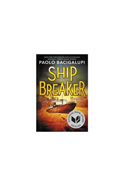 Little Brown & Co Inc Ship Breaker