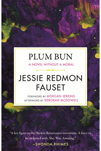 Beacon Pr Plum Bun: A Novel Without a Moral