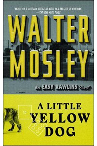 Washington Square A Little Yellow Dog