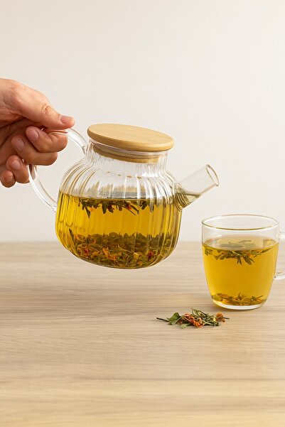 Evsun Home Collection إبريق شاي زجاجي مقاوم للحرارة بسعة 1000 مل مع مصفاة ، ش...