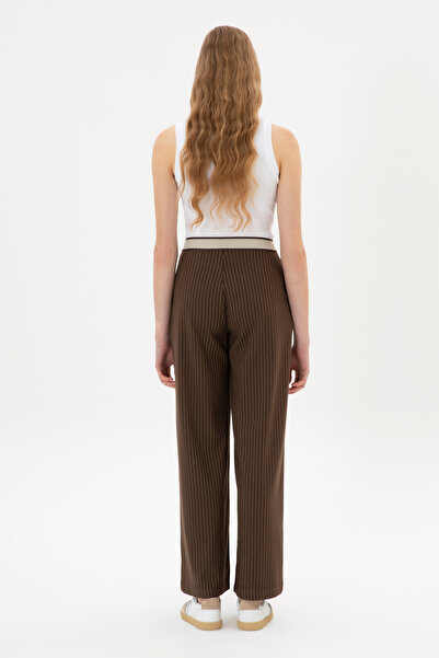 U.S. Polo Assn. Kadın Kahverengi Çizgili Loose Fit Kanvas Pantolon 50317169-VR029