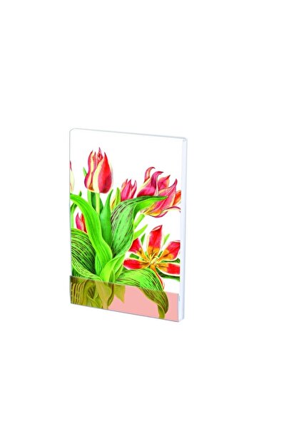 OEM Notebook A7,32 file Tulipa 'Plaisir' Anita