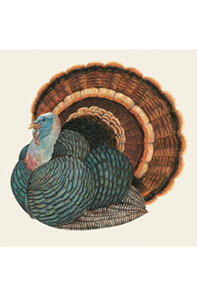 Hester & Cook Heritage Turkey Cocktail Napkin - Pack Of 20