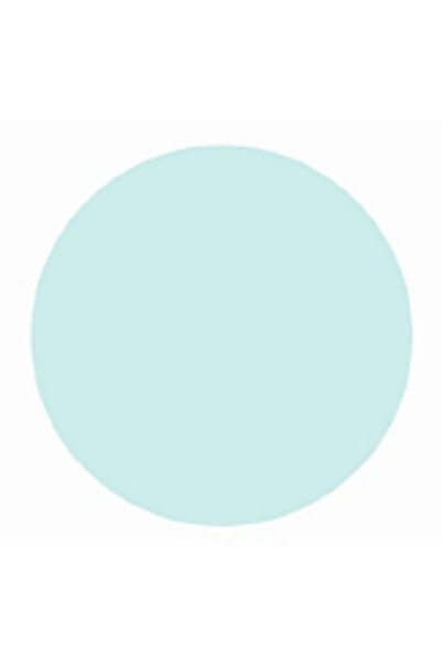Pierre Rene Oja Unghii Profesionala - Nail Polish Nr. 276 Fresh Mint 11ml - Pierre Rene