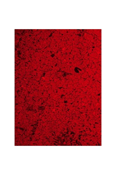 OEM Self-Adhesive PVC Wallpaper, Abstract Tree Bark Red Wood, 200 x 300 cm