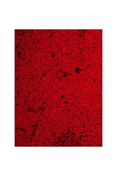 OEM Self-Adhesive PVC Wallpaper, Abstract Tree Bark Red Wood, 200 x 300 cm