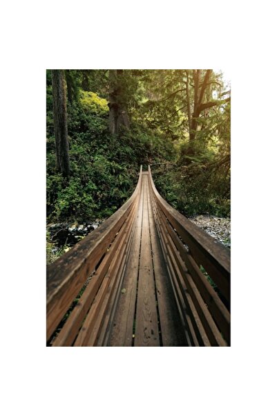 OEM Pictură pe pânză, Peisaj cu pod și pădure, 100x70 cm