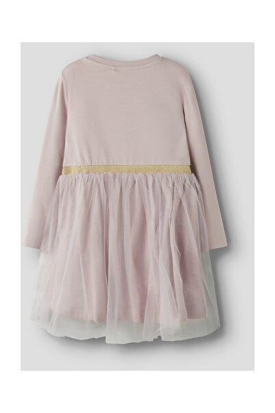 Name it ROCHIA NMFNASTAR LS