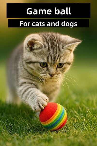 CasaPetra كرة لعب للقطط والكلاب ملونة - قطعتان